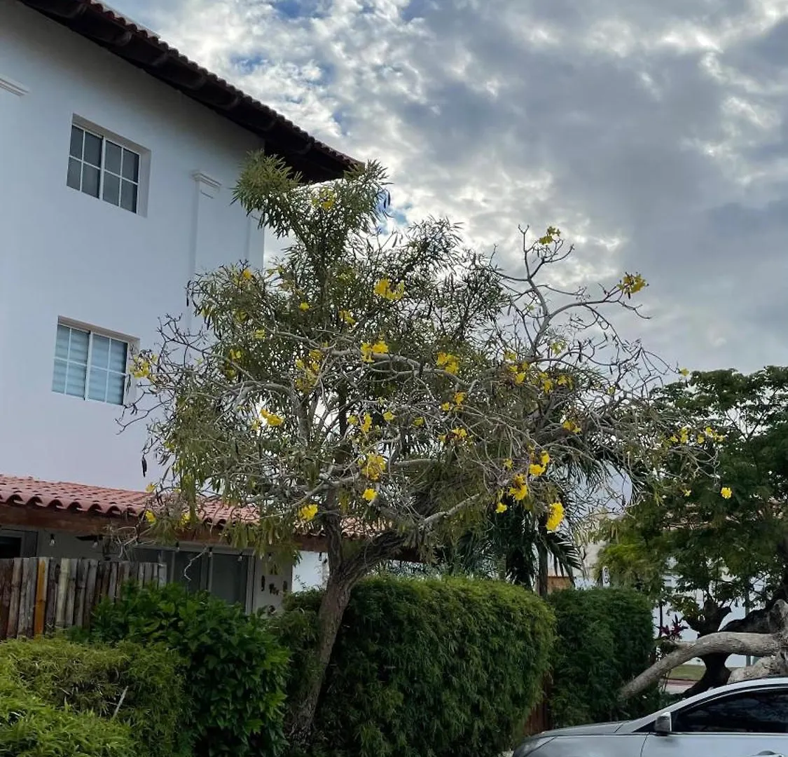 Acogerdo Y Tranquilo Apartamento En Cap Cana Punta Cana 0*,