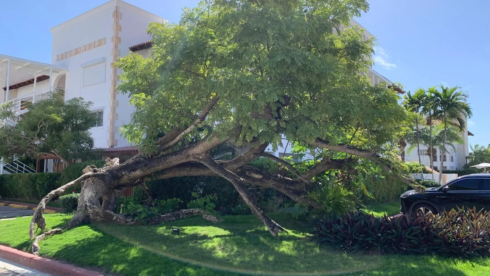 شقة Acogerdo Y Tranquilo Apartamento En Cap Cana بونتا كانا